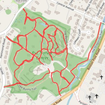 Track 142 trail, distance, elevation, map, profile, GPS track